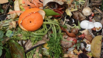 Read more about the article טל געש طل غعش